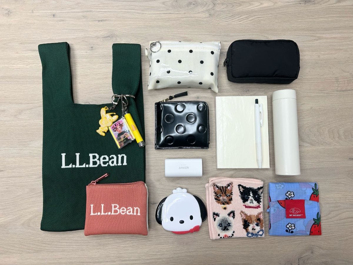 リンネル11月号付録L.L.Beanのバッグにお出かけ時のマストアイテムがまるっと収まる