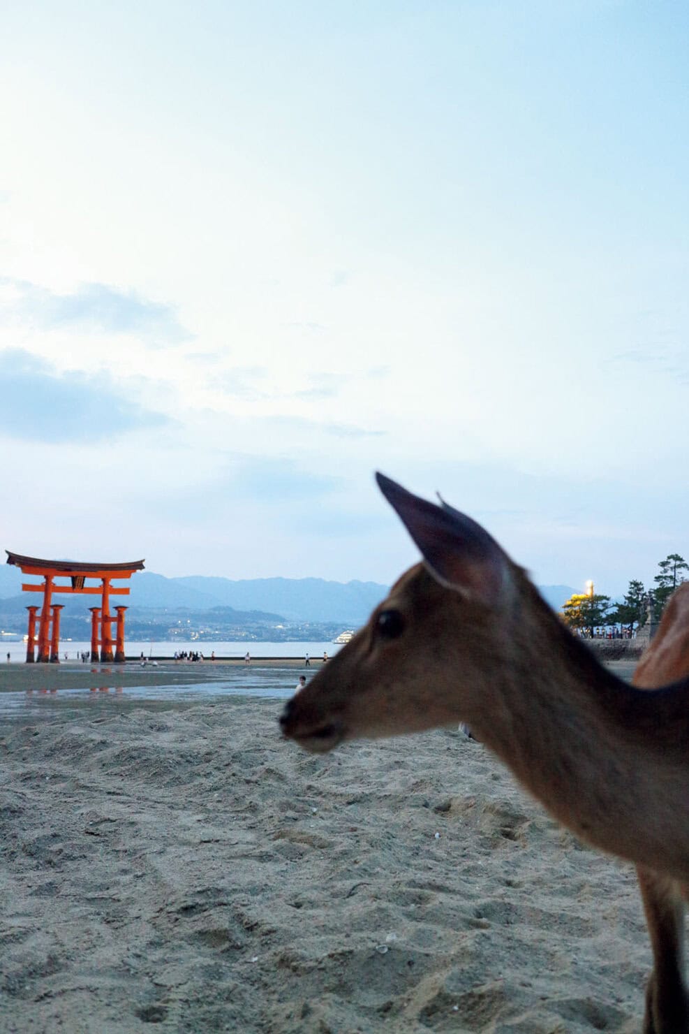 旅の思い出を特別な一枚に