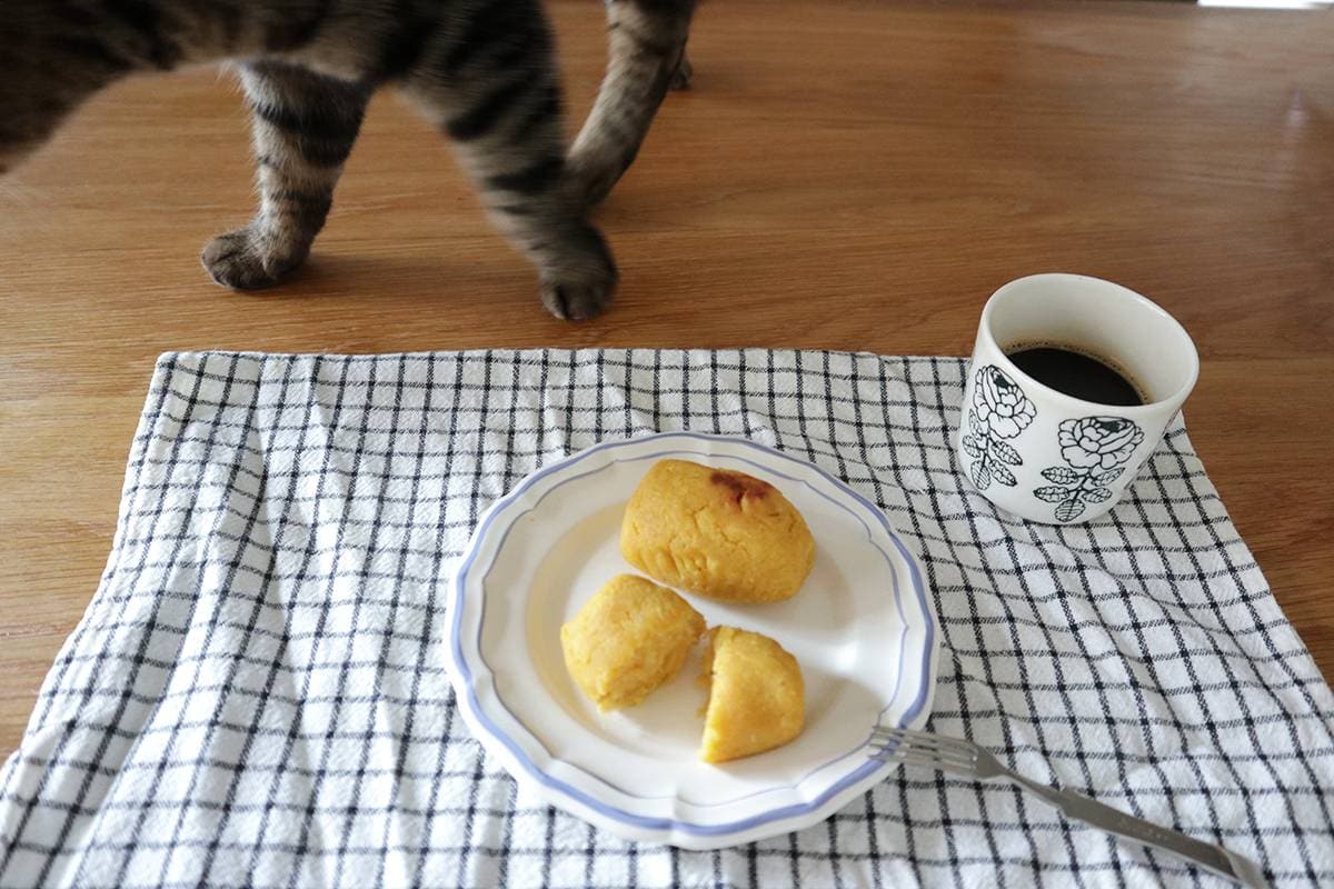 おやつに興味津々な愛猫さくらさん