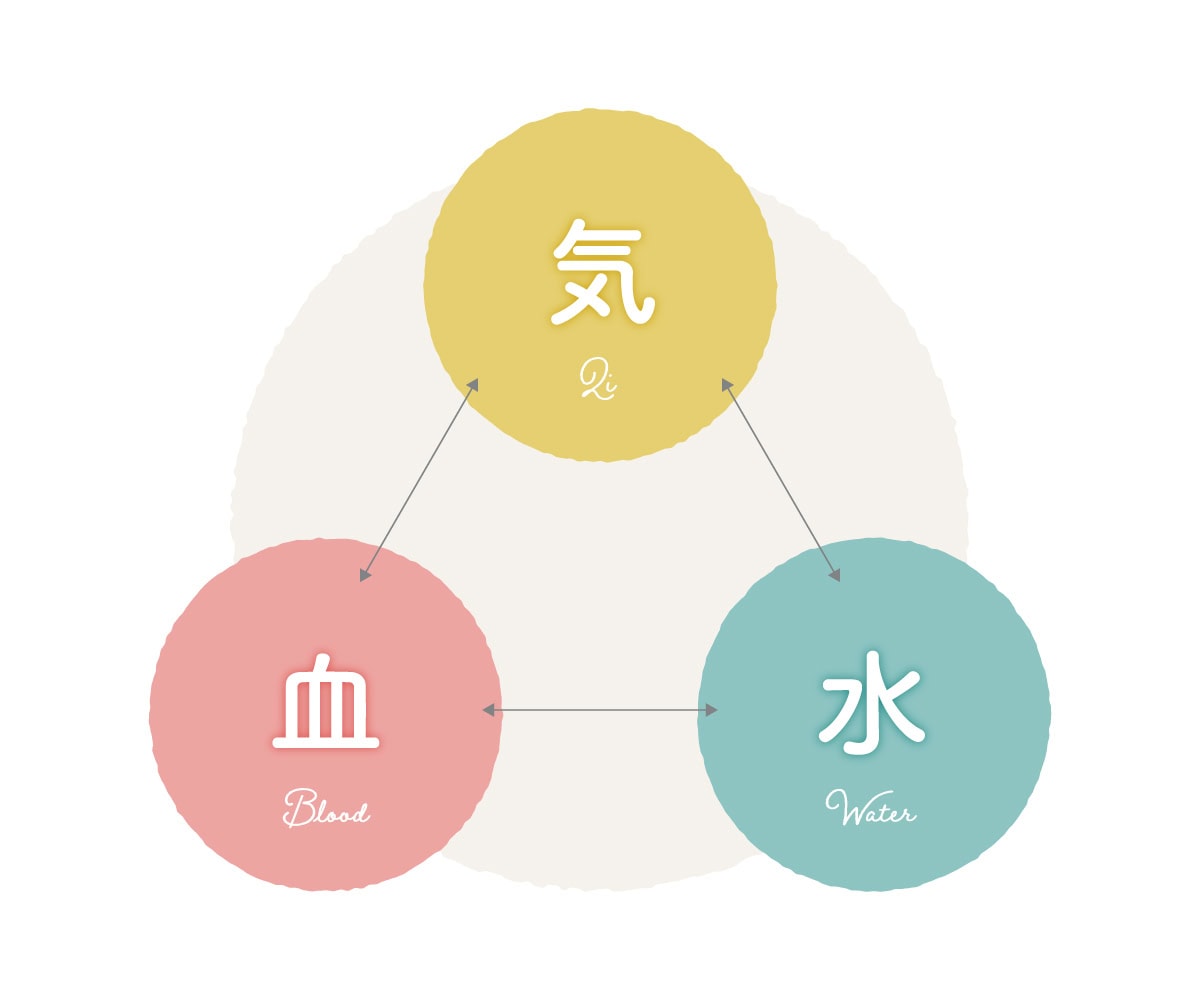漢方の相関図