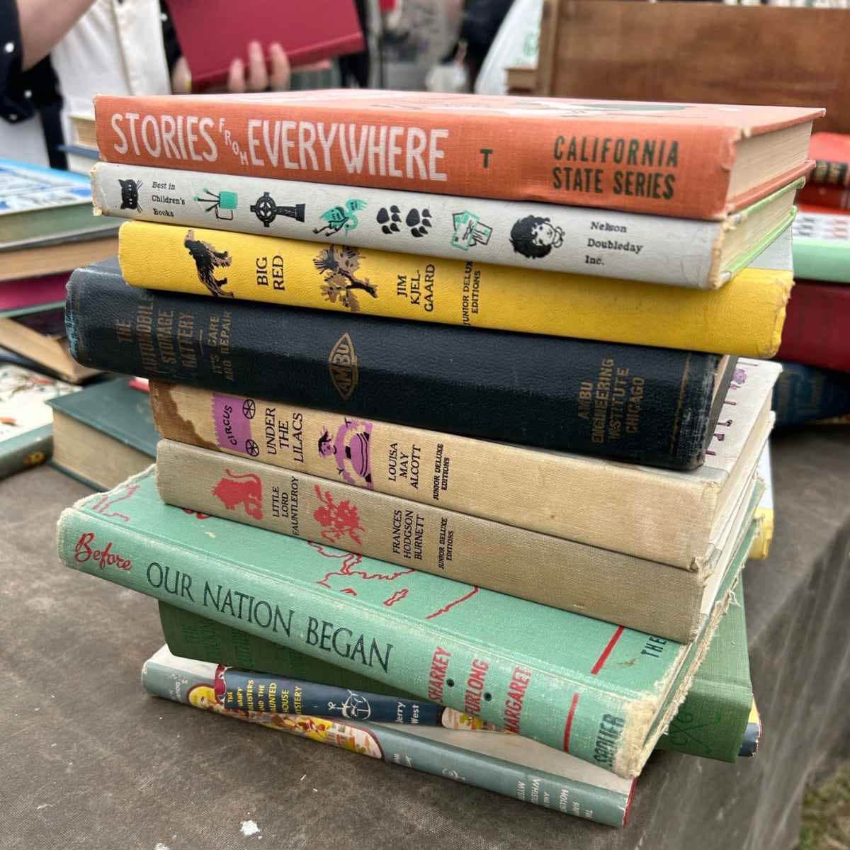 気になった洋書を集めて、さらに吟味して選別するところ
