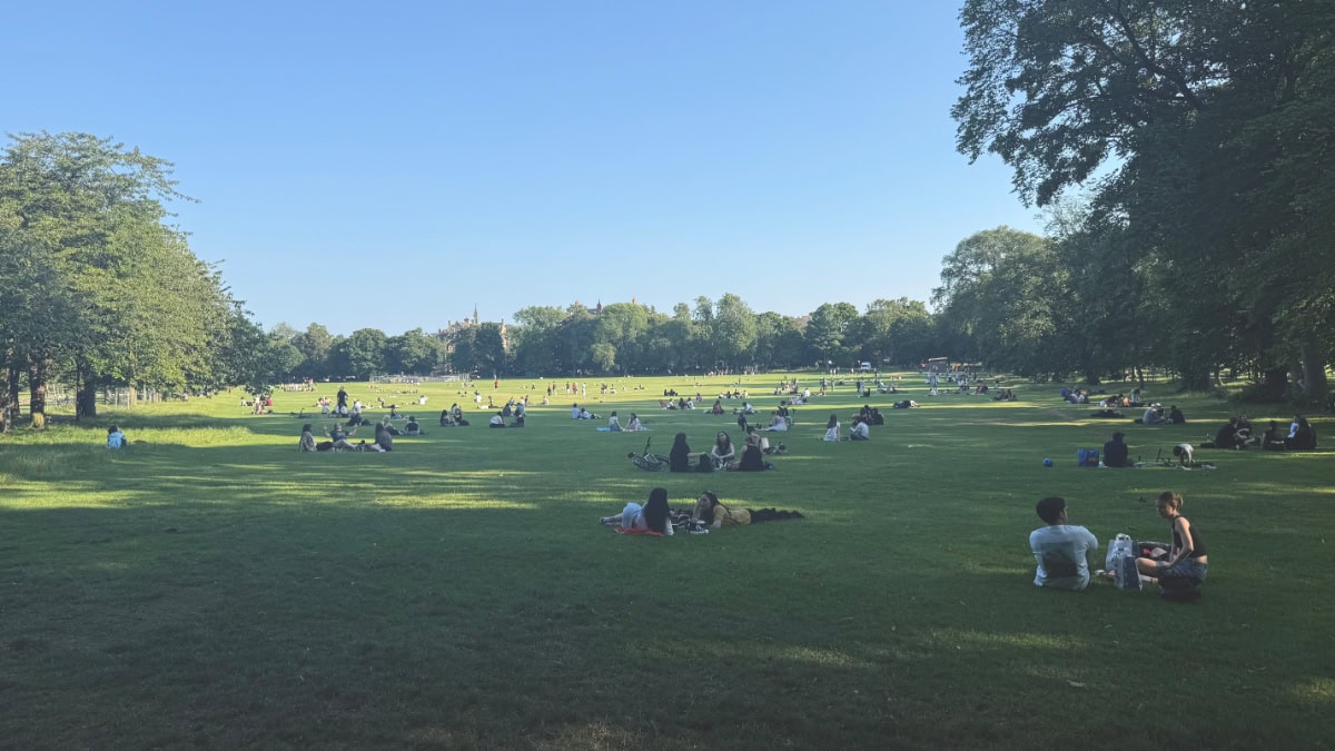 エディンバラの公園、ザ・メドーズ、The Meadows