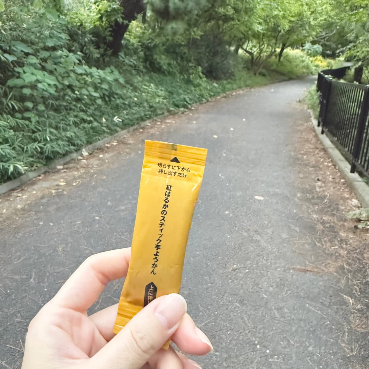 紅はるかのスティック芋ようかん、無印良品、行動食