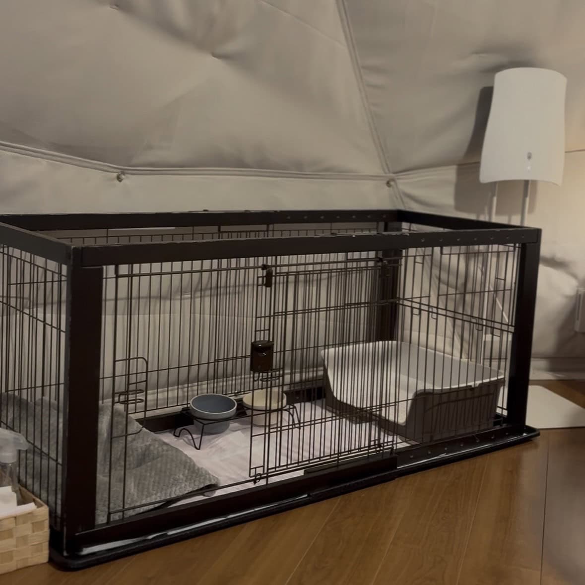 部屋内の犬用ゲージ